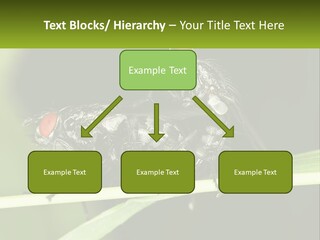 Building Architecture Architect PowerPoint Template