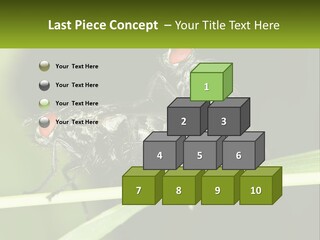 Building Architecture Architect PowerPoint Template