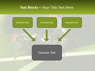 Building Architecture Architect PowerPoint Template