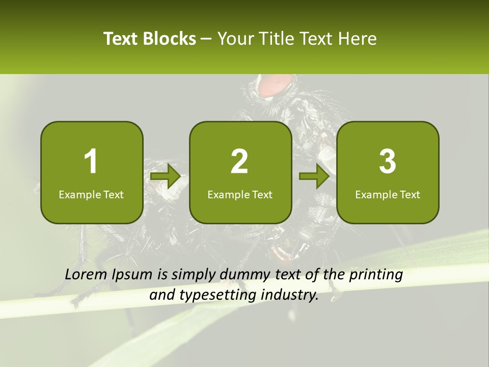 Building Architecture Architect PowerPoint Template