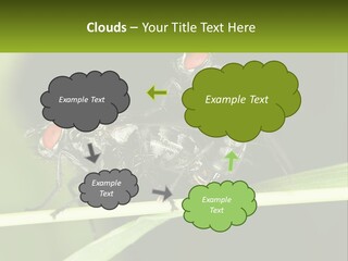 Building Architecture Architect PowerPoint Template