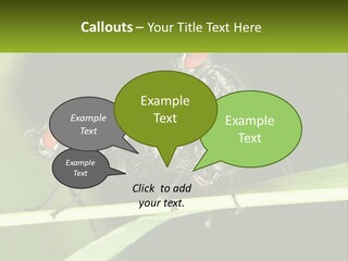Building Architecture Architect PowerPoint Template
