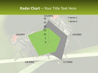 Building Architecture Architect PowerPoint Template