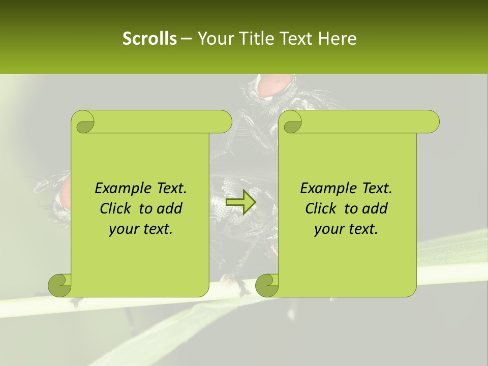 Building Architecture Architect PowerPoint Template