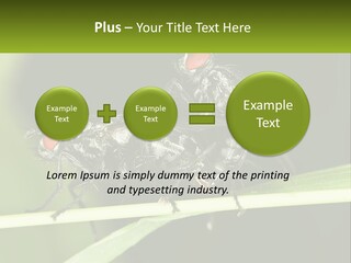 Building Architecture Architect PowerPoint Template