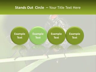 Building Architecture Architect PowerPoint Template