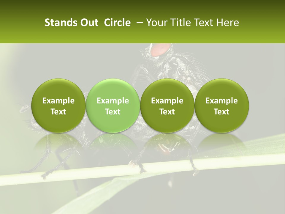 Building Architecture Architect PowerPoint Template