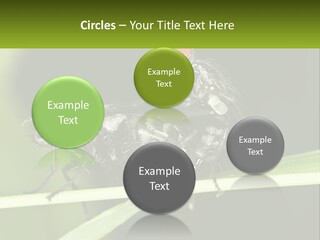 Building Architecture Architect PowerPoint Template