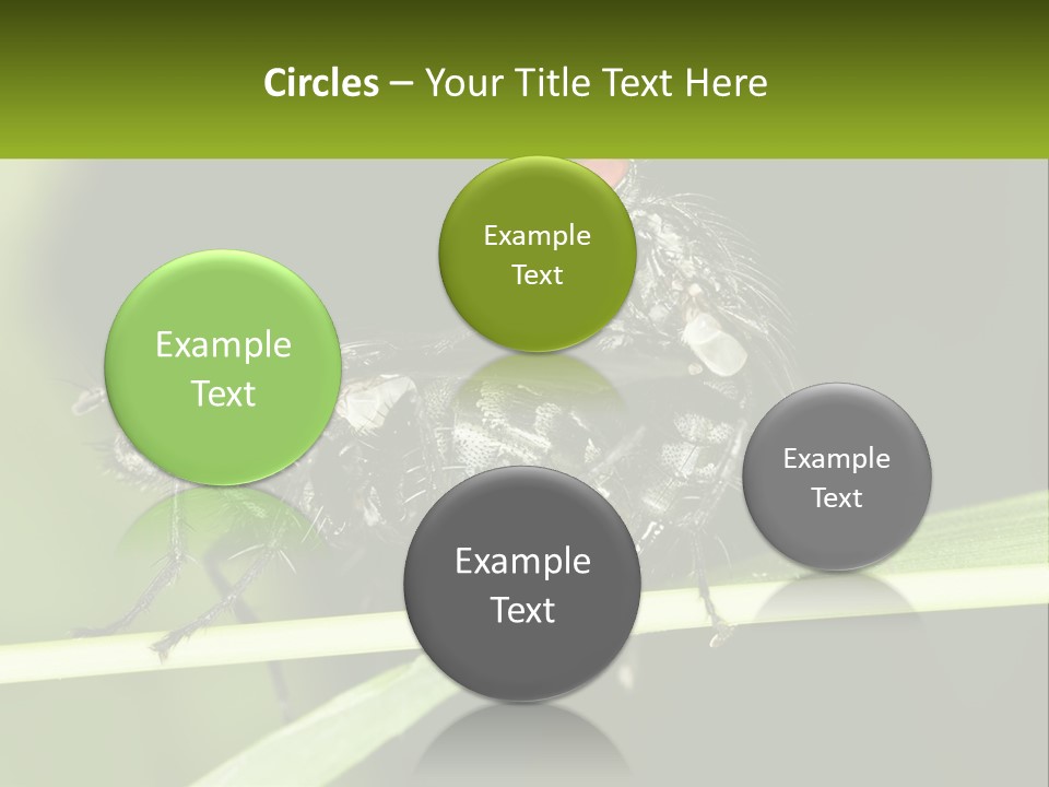 Building Architecture Architect PowerPoint Template