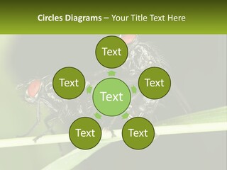 Building Architecture Architect PowerPoint Template