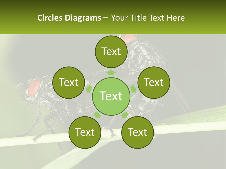 Building Architecture Architect PowerPoint Template