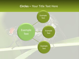 Building Architecture Architect PowerPoint Template