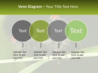 Building Architecture Architect PowerPoint Template