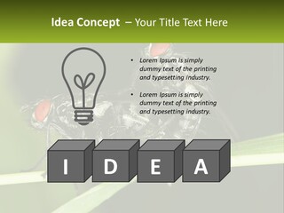 Building Architecture Architect PowerPoint Template