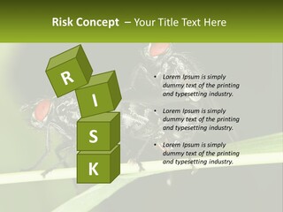 Building Architecture Architect PowerPoint Template