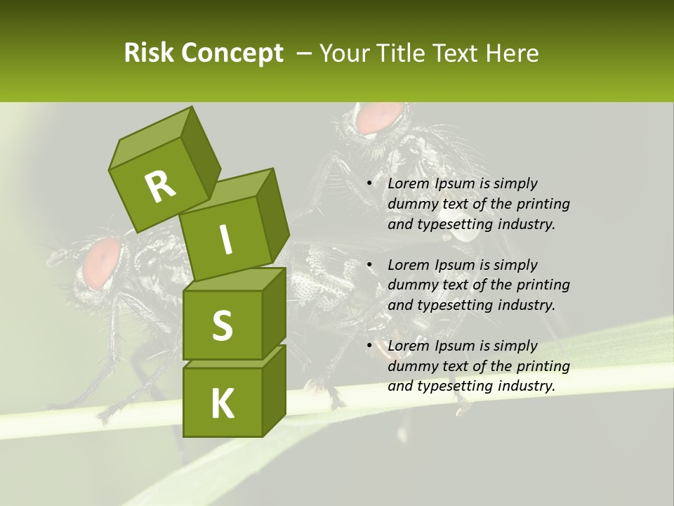 Building Architecture Architect PowerPoint Template