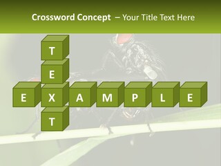 Building Architecture Architect PowerPoint Template