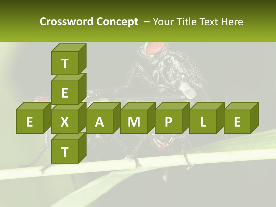 Building Architecture Architect PowerPoint Template