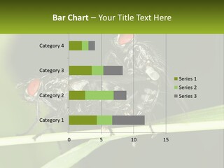 Building Architecture Architect PowerPoint Template