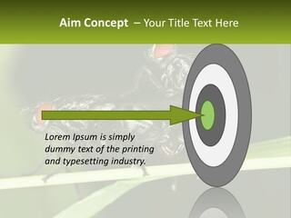 Building Architecture Architect PowerPoint Template