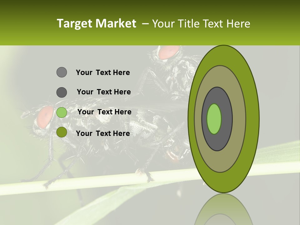 Building Architecture Architect PowerPoint Template