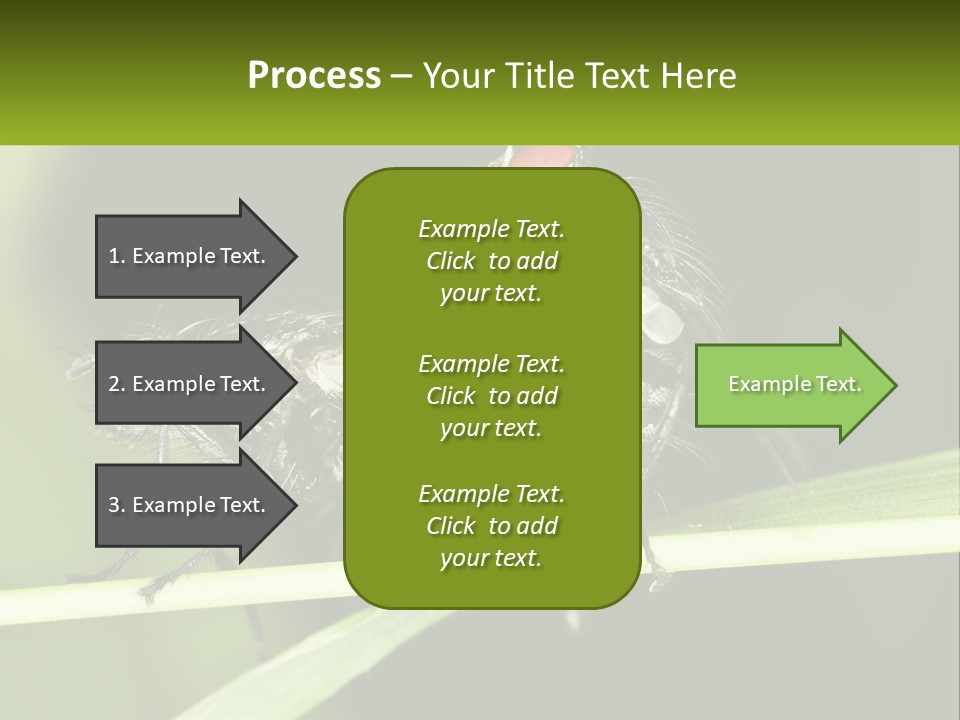 Building Architecture Architect PowerPoint Template