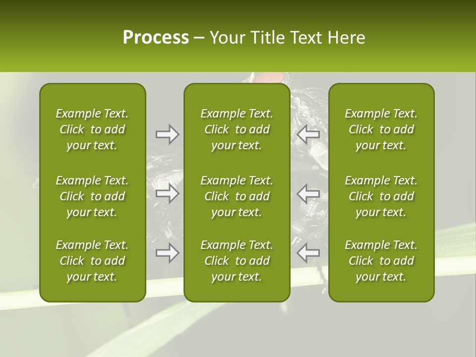 Building Architecture Architect PowerPoint Template