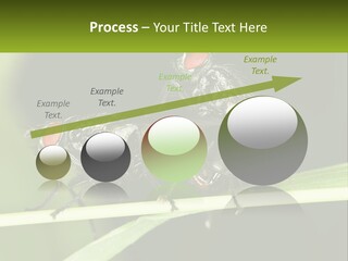 Building Architecture Architect PowerPoint Template