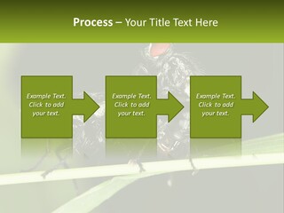 Building Architecture Architect PowerPoint Template