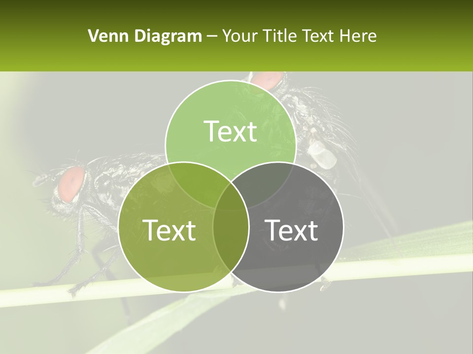 Building Architecture Architect PowerPoint Template