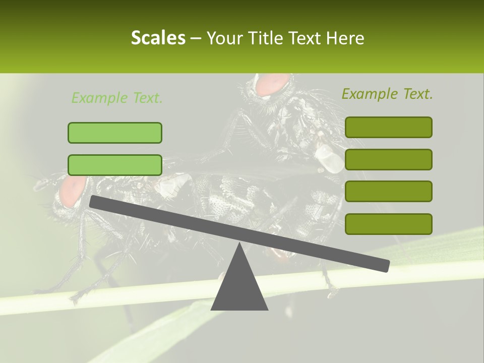 Building Architecture Architect PowerPoint Template