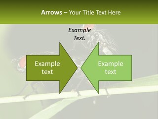 Building Architecture Architect PowerPoint Template