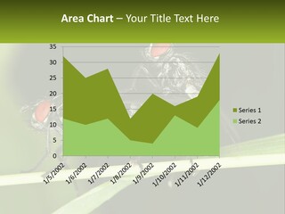 Building Architecture Architect PowerPoint Template