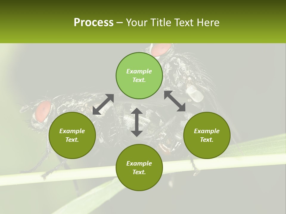 Building Architecture Architect PowerPoint Template