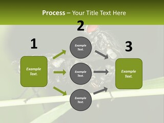 Building Architecture Architect PowerPoint Template