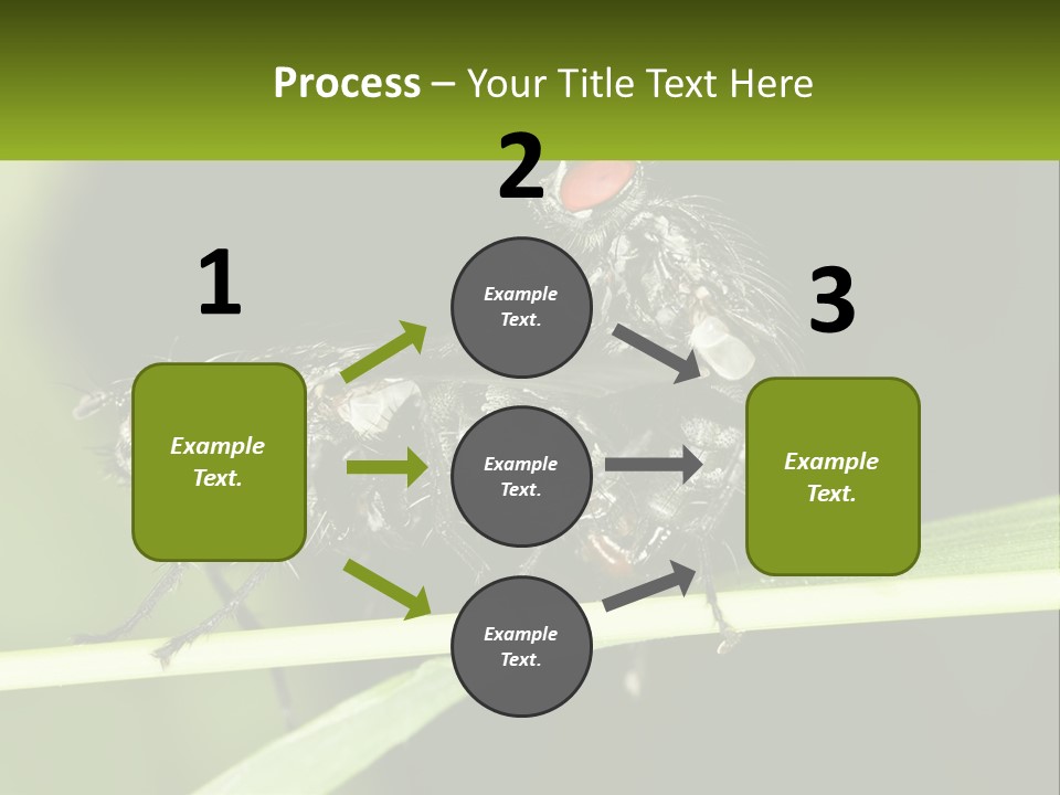 Building Architecture Architect PowerPoint Template