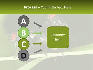 Building Architecture Architect PowerPoint Template