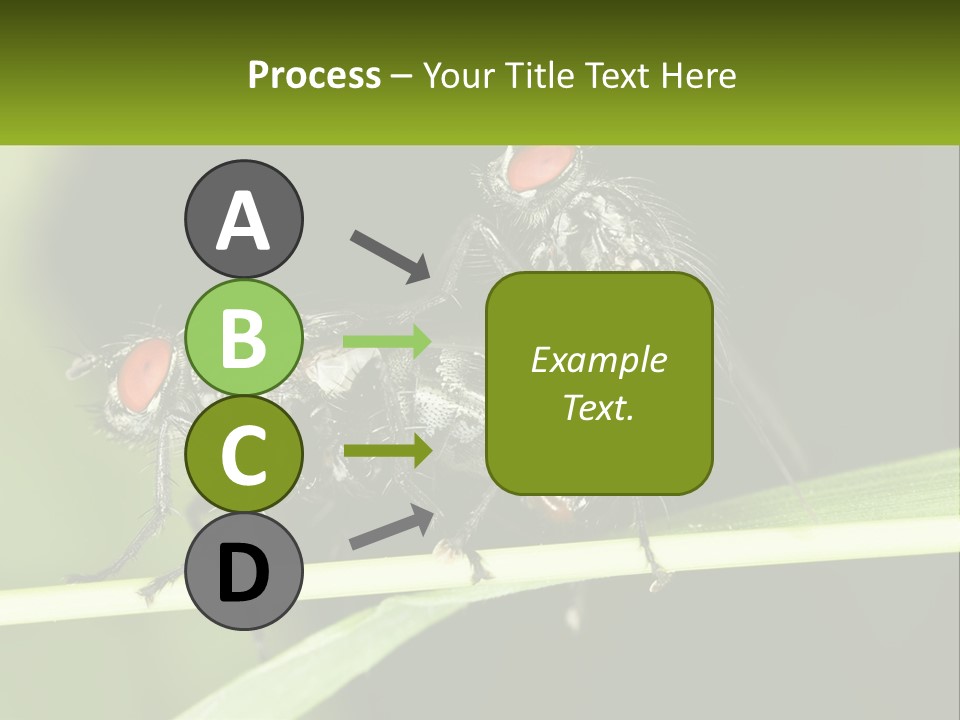 Building Architecture Architect PowerPoint Template