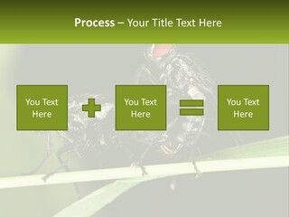 Building Architecture Architect PowerPoint Template