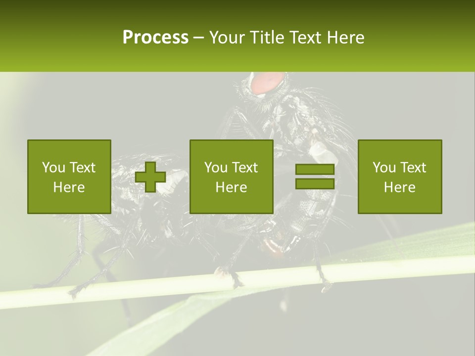 Building Architecture Architect PowerPoint Template