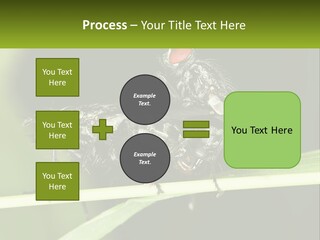 Building Architecture Architect PowerPoint Template