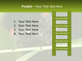 Building Architecture Architect PowerPoint Template