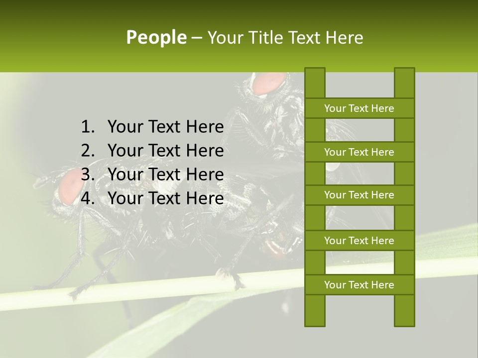 Building Architecture Architect PowerPoint Template