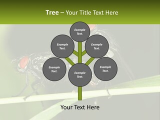 Building Architecture Architect PowerPoint Template