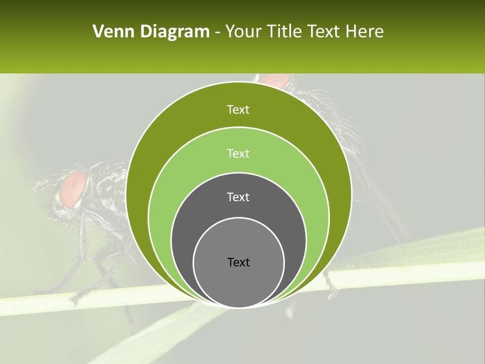 Building Architecture Architect PowerPoint Template