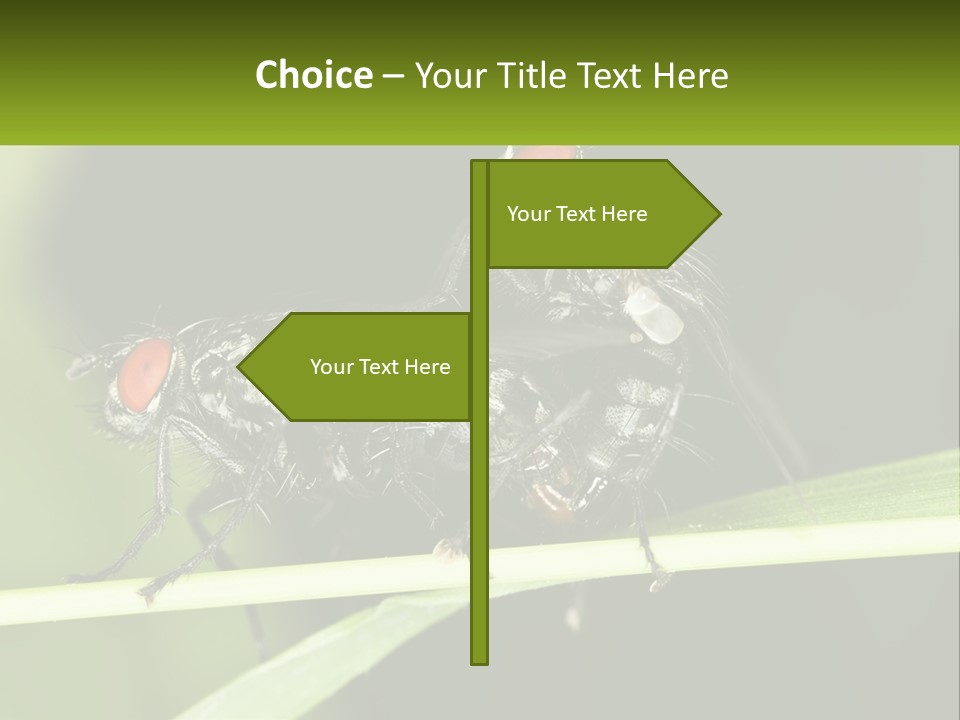 Building Architecture Architect PowerPoint Template