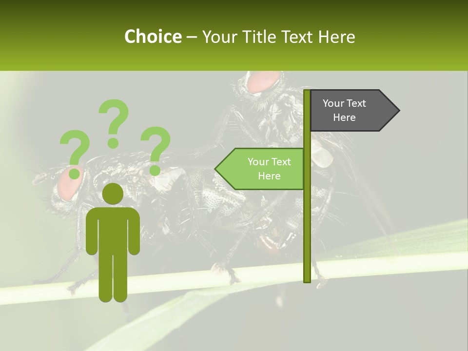 Building Architecture Architect PowerPoint Template