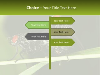 Building Architecture Architect PowerPoint Template
