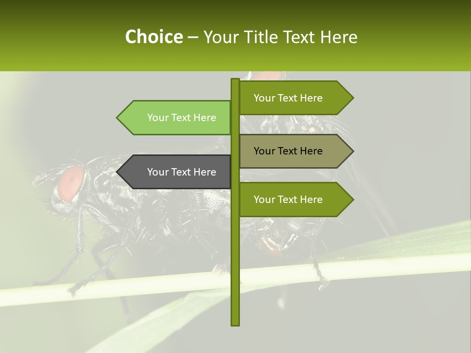 Building Architecture Architect PowerPoint Template