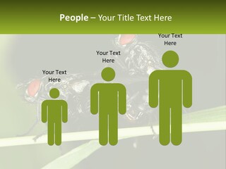 Building Architecture Architect PowerPoint Template